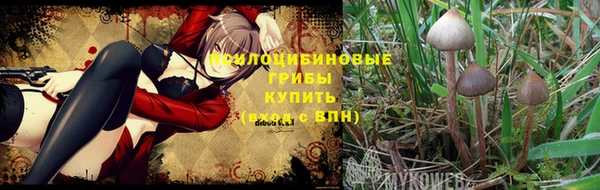 таблы Кодинск